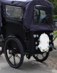 Cargobike Flex