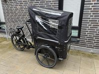 Cargobike Flex