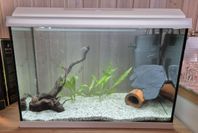 Akvarium Juwel Primo 70 liter LED vit inkl. tillbehör