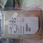 2TB Sata hårddisk Seagate Constellation ES 64mb ST32000644N