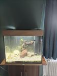 Juwel Lido 120