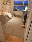 Beige matta 240 x 165
