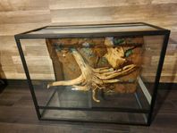 Terrarium 60x75x40