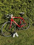 Trek domane
