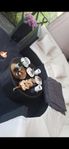 utomhus soffa/ glas bord