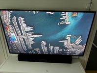 Samsung skärm 65”