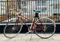 Nishiki damcykel