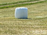 Hö ensilage