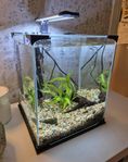 Nanoakvarium LED 20 liter