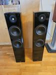 System Fidelity SF 5050 golvhögtalare