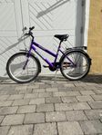24” CBS 3vxl