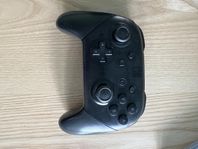 Nintendo Switch Pro controller