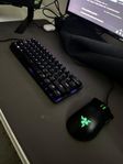 Razer Hunstaman Mini & Razer Deathadder Essential