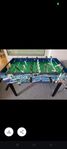 boll spel