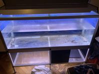 STORT AKVARIUM PÅ CA 300 LITER (1100 KR)