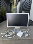 Apple Cinema Display 20”