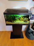 aquarium 54 L + möbel