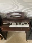 Elorgel Magnus