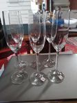 Nachtmann Vivendi 6 st Kristall Champagneglas.