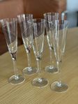 Champagneglas