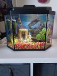 Akvarium 26l. fullt utrustat + fiskar.