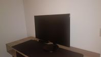 Samsung datorskärm  24"