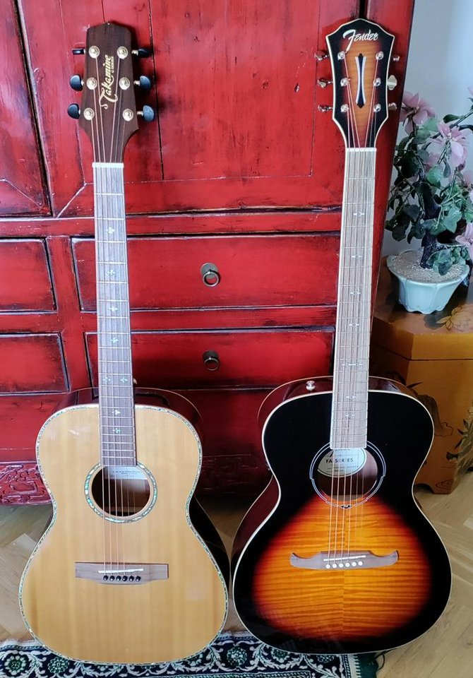Akustisk stålsträngad gitarr