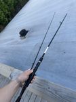 daiwa 50-120g gäddspö/spinnspö 