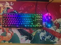 Xtrfy mus & HyperX tangentbord 