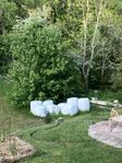 Små höbalar/ensilage