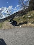 El scooter 