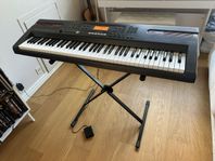 Casio Keyboard wk-110 