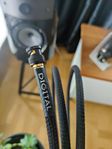 Regal Audio Momentum Digital 75 