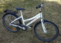 Monark 24" Flowers, 3-vxl