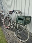 Retrocyklar  ( ACHIELLE )