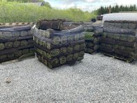 30 kr gräsmatta 