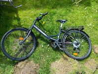 probike 24"
