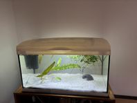 54 liters akvarium 