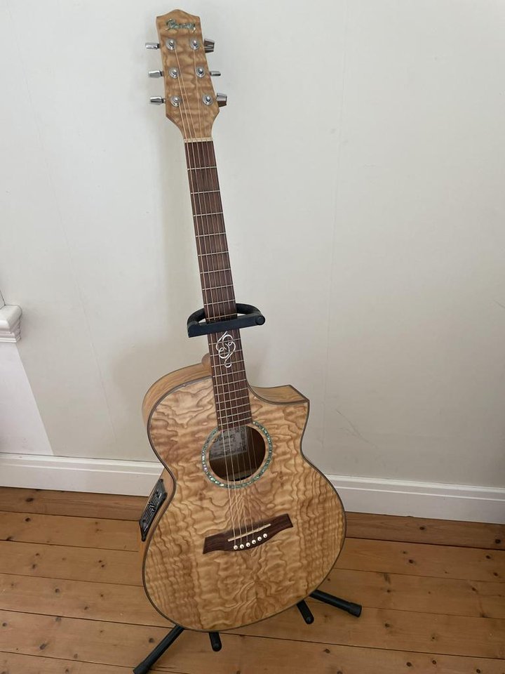Ibanez EWC30