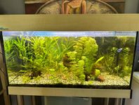 Komplett 200l akvarium