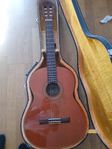Aria AC-20 konsertgitarr