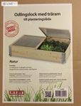 Odlingslock 