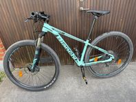 Mountinbike 29 tum 