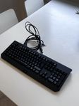 Blackwidow Chroma 