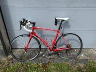 Specialize Allez Comp &  Nishiki Pulse (dam)