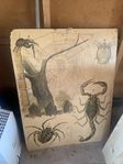 Skolplansch 1900 talets mitt