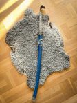 Katana med balja 1900-tal, Samuraj Svärd, Värja, Sabel.
