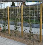 galvaniserad  Hortus spalje komplett med jordankare