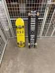 longboard & skateboard