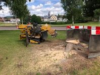 Stubbfräsning/Vassklippning